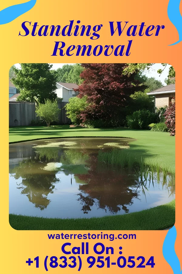 Standing Water Removal in Murray, CT